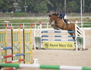 Showjumping